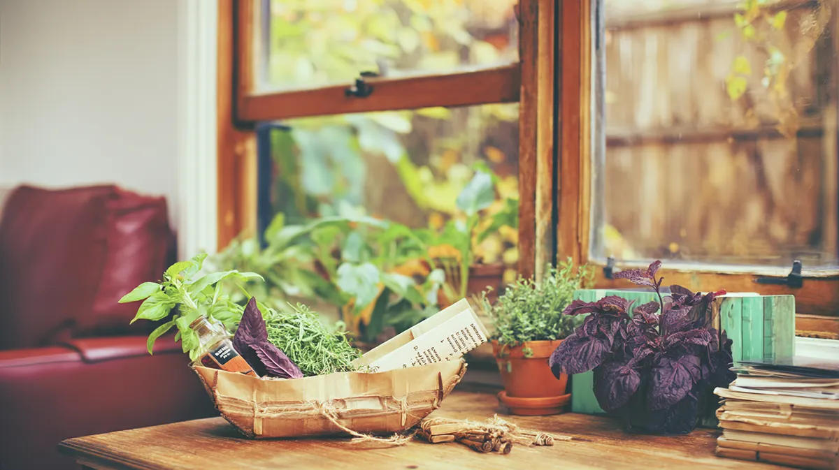Aromatização Natural para a Casa: Transforme Seu Lar com Aromas Saudáveis e Sustentáveis