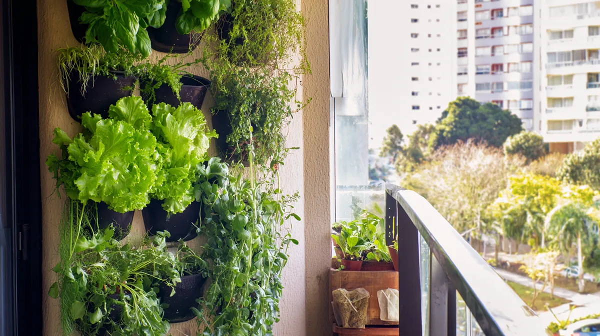 Como Criar sua Horta Vertical e Cultivar Alimentos em Pouco Espaço