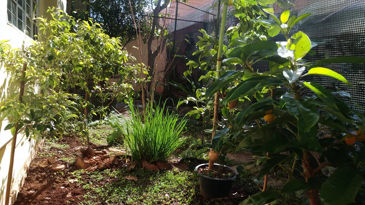 Como Manter o Jardim Bonito o Ano Inteiro
